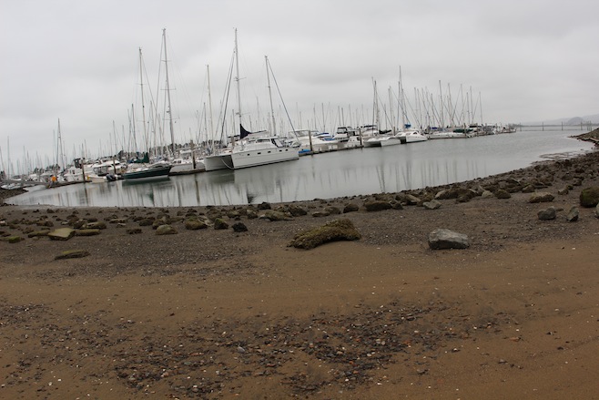 Emery Cove Yacht Harbor